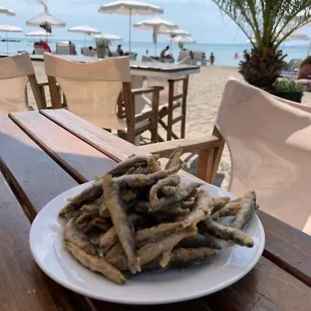 Apartament In The Center Of Sarafovo *