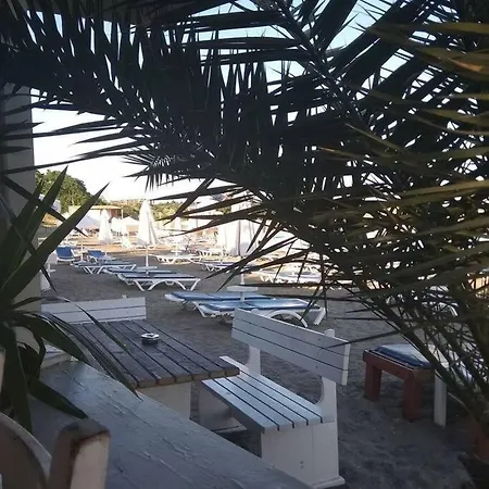 In The Center Of Sarafovo Burgas City